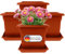 Sustania Lot de 4 pots de fleurs XXL (40 x 40 cm) en terre cuite avec soucoupe, qualité supérieure en provenance d'Allemagne