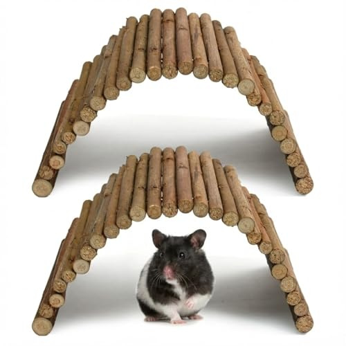 Kaiyzo Lot de 2 Pont en Saule, Hamster Accessoire Naturel, Jouet pour Lapin Cochon d'Inde, Tunnel Flexible, Accessoires Cage Rongeur Bois