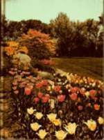 New Illustrated Encyclopedia of Gardening (Sen-Ter, Volume 12)