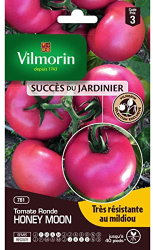 Vilmorin Sachet graines Tomate Ronde Honey Moon SDJ