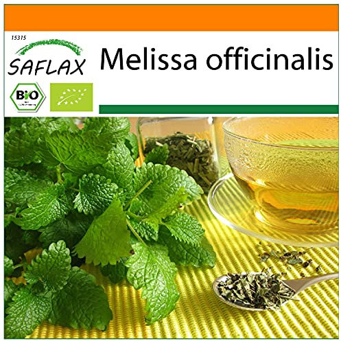 SAFLAX - Jardin dans le sac - BIO - Mélisse officinale - 1000 graines - Avec substrat de culture dans un sac de levage facile à manipuler. - Melissa officinalis