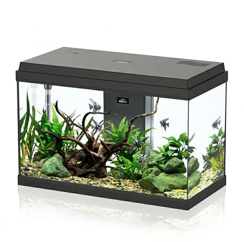 AQPET Acquario in Vetro per Pesci Tropicali Completo di Accessori Filtro Luce Simply, 60 59x30x39 cm 60 Litri