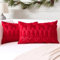 Artscope 2er Set Wolle Kissenbezüge Weicher Plüsch Kurzer Wollsamt Dekokissenbezuge Luxuriöses Sofakissen Europäische Kissenhülle für Sofa Schlafzimmer Weihnachtsbaum und Elch Rot, 40x60cm