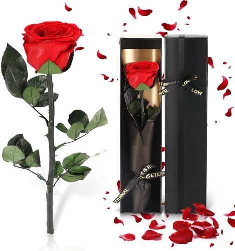 Vasmeiy Rosa Eterna in Confezione Regalo, Rosa Rossa Infinita con Stelo,Regali per Mamma, Fidanzata, Moglie, Regalo di Compleanno, Regalo di Anniversario, Regalo per la Festa della Mamma