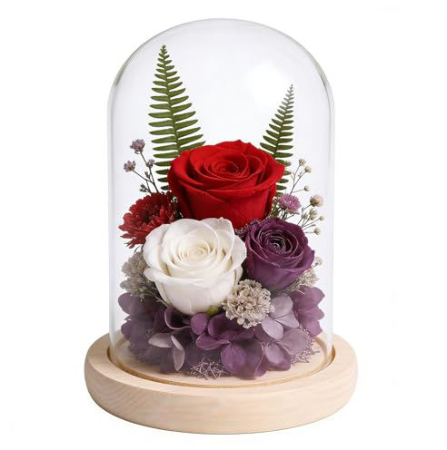 Glasklocka med trägolv 12 x 16 cm, glaskupa med naturlig träbas, glasklocka, stor, cloche kupoldisplay av glas, glaskoppel, dekoration för dockor, ljus, ros, hem, samlarobjekt (utan lampa)