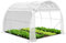 VOUNOT® Serra da Giardino a Tunnel, Serra Orto con Finestre Avvolgibili per Piante Verde e Frutto, 3 x 3 x 2 m 9m², Bianco