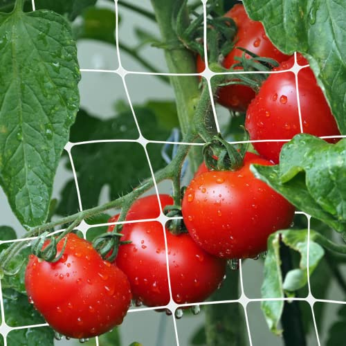 MAKA Rete Rampicanti Orto Bianca Supporto Fiori Piante che Crescono Verticali Rete PVC A Maglia Larga 14x16cm ideale Coltivazione Pomodori Piselli Fagioli Cetrioli Interno Esterno (2x100 metri)