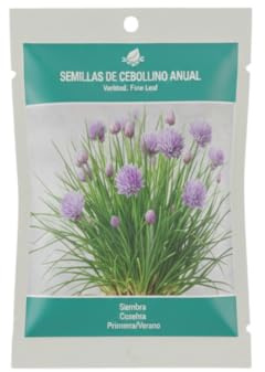 Planta Culinaria Cebollino – Semillas Premium DECOALIVE