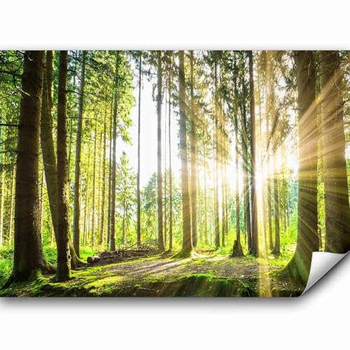 murando Fototapete Premium-Vlies Wald 3D 200x140cm Foto Tapete Schlafzimmer Wohnzimmer Vliestapete XXL Wandtapete Motivtapeten Bildtapete 3d Effekt Wand Dekoration Flur Landschaft Natur Grün Bäume