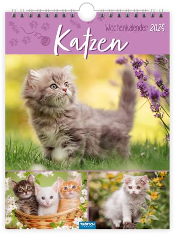 Trötsch Wochenkalender zum Hängen Katzen 2025: Wandkalender