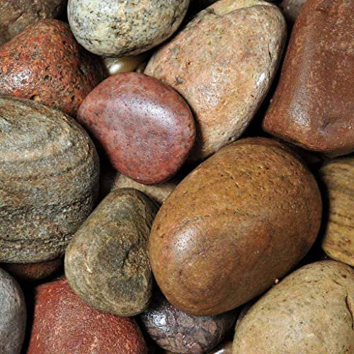 Elixir Gardens Decorative Coloured Scottish Stones Cobbles Pebbles Paddlestones Gravel Chippings Aggregate Various Sizes 1kg-1000kg | (5kg, Scottish Cobbles 50-80mm)