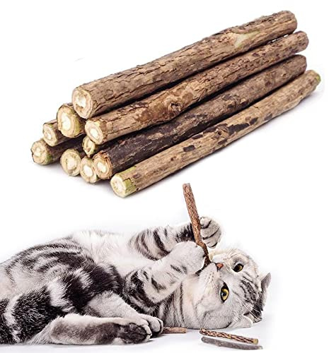WoLover 10 PCS Cat Catnip Sticks, Natural Matatabi Silvervine Sticks - Cleaning Teeth Molar Tools Kitten Chew Toy Natural Catnip Cats Toy