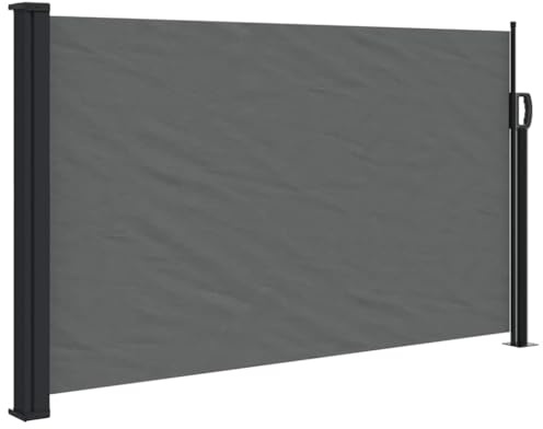 vidaXL Tenda da Sole Laterale Retrattile Antracite 117x300 cm