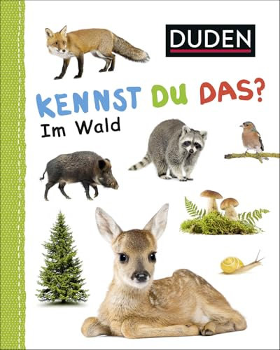 Duden 12+: Kennst du das? Im Wald: ab 12 Monaten (DUDEN Pappbilderbücher Kennst Du das?, Band 12)