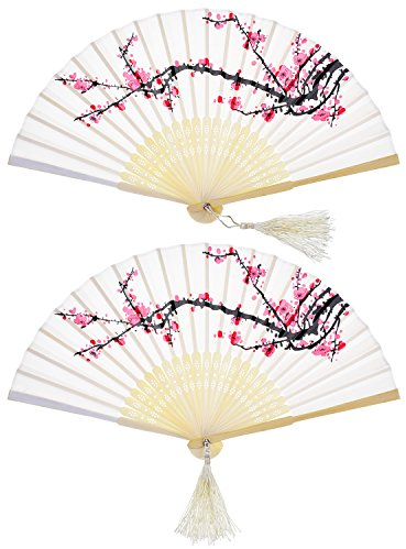 Éventails à main pliables en bambou avec pompon pour femme, décoration murale ou pour offrir (lot de 2)
