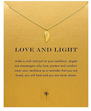 ZYAWP Message Card Angel Half Wings Pendant Necklace Friendship Interlocking Infinity Circles Chain Dainty Pendant Necklace Meaning Gifts for Women and Sisters