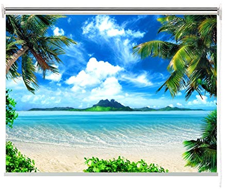ROLLER BLINDS Blackout Ocean Beach Picture, Window Roller Shades for Bedroom/Bathroom/Nursery/Kitchen, 60cm/ 80cm/ 100cm/ 120cm/140cm Wide (Size : 60x100cm)