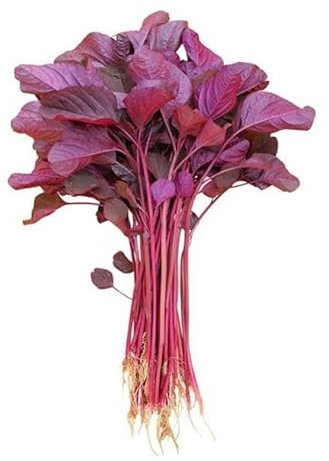 Red Spinach Seeds (Amaranth/Lal Shak) – 5 Gram | Fast-Growing Leafy Vegetable for Home Garden