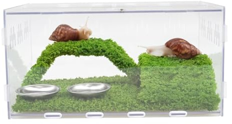 Begeterday Snail Terrarium Kit, Include 28.5cm x 20cm x 15cm Snail Terrarium,Crawling Mat,Climbing Toys,Hiding Spot,Two Shallow Dishes