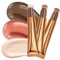 Ofanyia 3Pcs Blush Contour Zauberstab, Flüssiger Glitter Face Highlighter Stick mit Cushion Applikator, Cruelty-free Silky Smooth Shimmer Beauty Wand for Face Cheekbone Glow