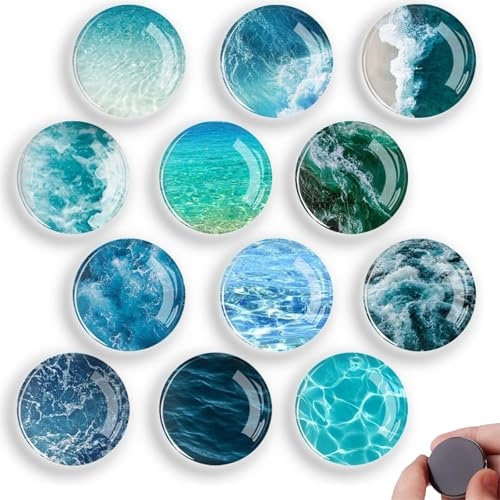 Calamite da Frigo, Magneti da frigorifero con Modello Dell'oceano 12 Pezzi, per Frigoriferi Deco, Lavagne Bianche, Microonde, Lavagne Magnetiche