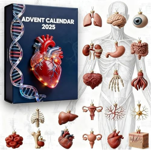 Calendario de Adviento de anatomía 2025, juego de sorpresas de órganos, calendario de Adviento de ciencia con adornos de partes del cuerpo humano para estudiantes de medicina, profesores y entusiastas