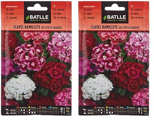 Semillas Batlle - Clavel RAMILLETE del Poeta Vdo. (Paquete de 2)