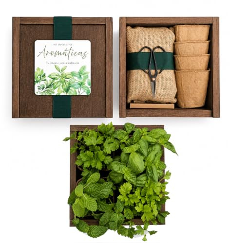 Kit Cultivo Hierbas Aromáticas – Caja Botánica de Madera con Semillas, Macetas y Accesorios – Huerto Urbano Interior para Cocina – Garden Pocket (Albahaca, perejil, hierbabuena y cilantro)