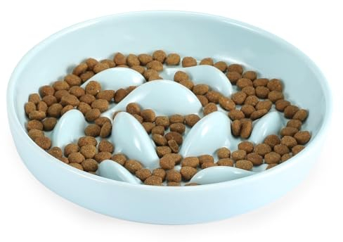 IDOGCHEW Ciotola per gatti in ceramica, mangiatoia lenta, anti-inghiottimento, anti vomito, per cibo umido e secco, rallenta l'alimentazione degli animali domestici, alimentazione sana, a prova di