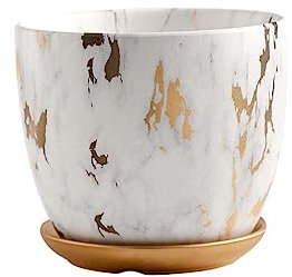 SOIMISS 1pezzi Di in Marmorizzato Per Bonsai Contenitore Per Piante e Cactus Forniture Per Giardinaggio e Ufficio