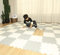 Skrsila 18 Puzzle Eva Schaumstoff Baby Puzzlematte Krabbelmatte Kinderspielteppich Spielmatte rutschfest Bodenschutzmatte 30 x 30 x 1,2 cm, Trainingsmatten Yogamatten Weiß + Grau