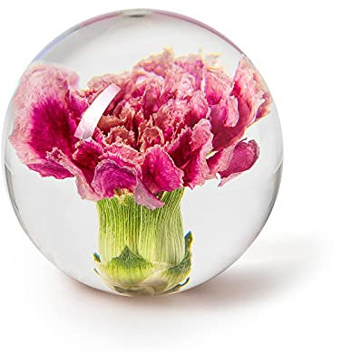 In Flore, Briefbeschwerer Nelke, 7 cm, Rosa