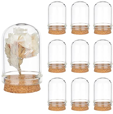 PH PandaHall 10pcs Cloche Bell Jar, Glass Display Dome with Cork Base Mini Glass Dome Decorative Cloche Display Case for Wedding Flower Storage Home Christmas Party Favor Decor, 2.2x3.6cm