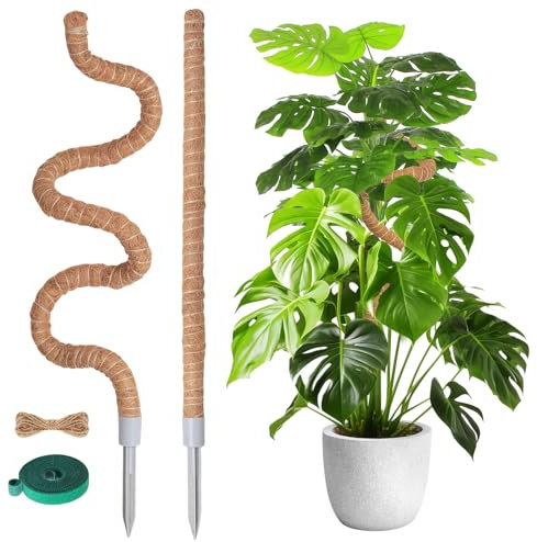 Tuteur Plante Monstera-2 Tiges Bendable 120cm et 60cm Long Mousse pour Plantes Monstera Tuteur Coco pour Plantes Support pour for Monstera Deliciosa Jasmin Pothos Grimpantes Interieur Exterieur