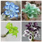 Calla lily bulb/calla lily plant-Fiore ornamentale, pianta da giardino ideale -10 bulbi-B