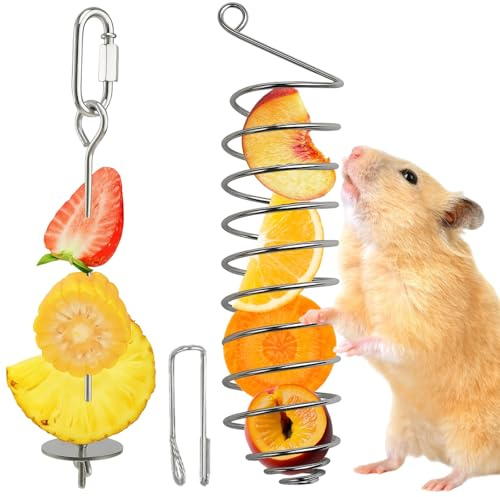 2 Pack Rat Cage Accessories, Rat Foraging Toys, Premium Stainless Steel Bird Food Holder Hanging Slow Feeder, Cage Enrichment Accessories for Parakeet Budgie Cockatiel Rodents Birds Small Animal