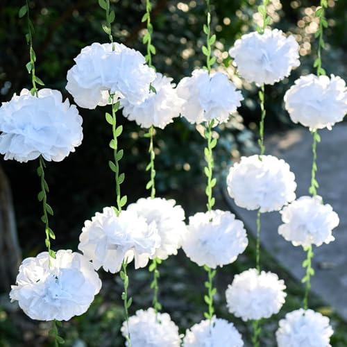 2 Pezzi Pompon di Carta Velina, 2,5 Metri Pon Pon Carta Velina, Pompon Decorativi per Feste, Pompon Fiori Cartas per Festa di Fidanzamento Matrimonio Compleanno Baby Shower Balli Studenteschi (C)