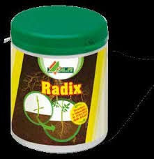 Radix AL.FE Radicale Organico Azotato 80 ml