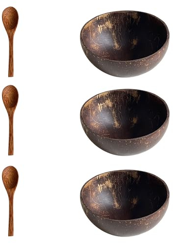 Dilireba Cuenco de coco juego de 3, Juego de cuencos de coco, tazón para batidos, cuencos sin plástico con cucharas, ideal como tazón de cereales, comida vegana, tazón de batido