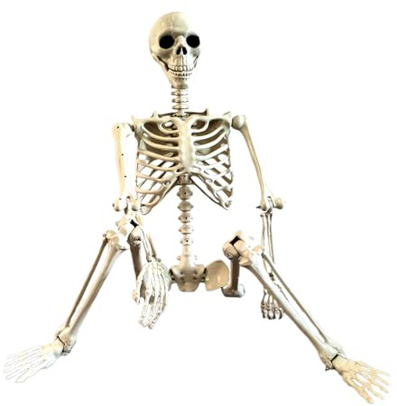 Skeleton Decoration - Movable Joints Full Size Skeleton Model | Weather-Resistant Outdoor Decorations, Spooky Photo Props Party Supplies for Courtyard Porch Lawn