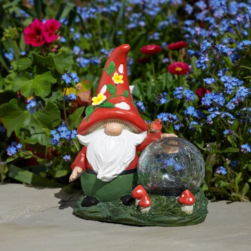 Pflanzen Kölle Dvärg med solboll Woodland Wizard, färgglad, ca 30 x 9 x 16 cm