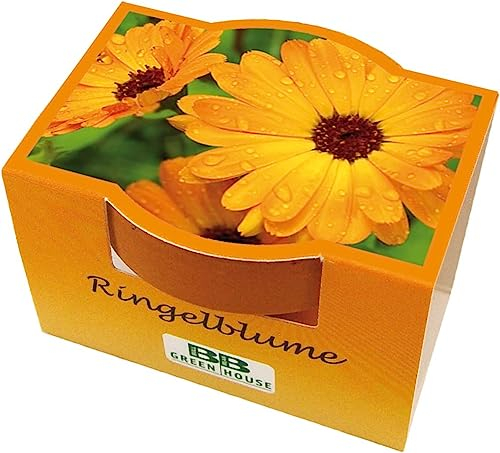 Bull & Bear 3er Set Mini Pflanzset mit Ringelblumen Samen im Topf 4,5cm, Ringelblumensamen als Anzuchtset mit Pflegeanleitung