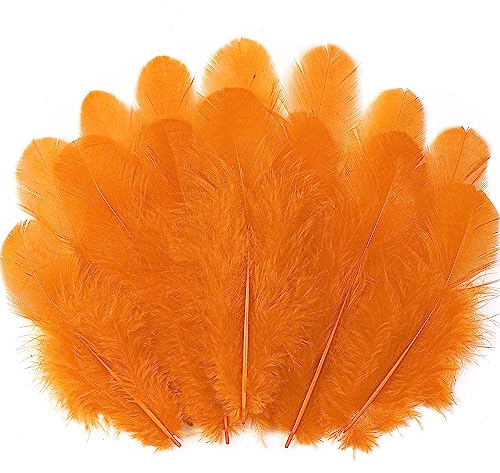 Soarer Orange Craft Feathers Bulk for Crafting Supplies,300Pcs,3-5inch | Soft Natural Rooster Feathers for DIY School Crafts,Dream Catcher,Halloween,Thanksgiving,Wedding Home Party and Costume Decor
