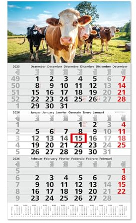 Timr calendario de tres meses 2026 vista anual 53 cm internacional multilingüe DE GB FR IT ES NL calendario de pared con deslizador motivo vaca I tr354