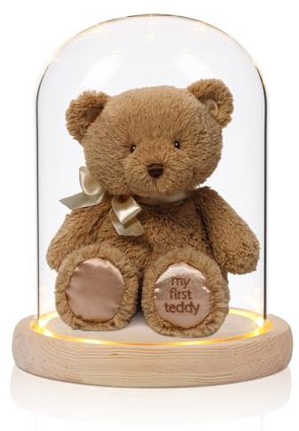 LEKEFETO Cloche en verre avec socle en bois, hauteur 16 cm. Décorative coupole en verre avec lampe, cloche en verre transparente, coupole en verre décorative, pour la Saint-Valentin, rose éternelle