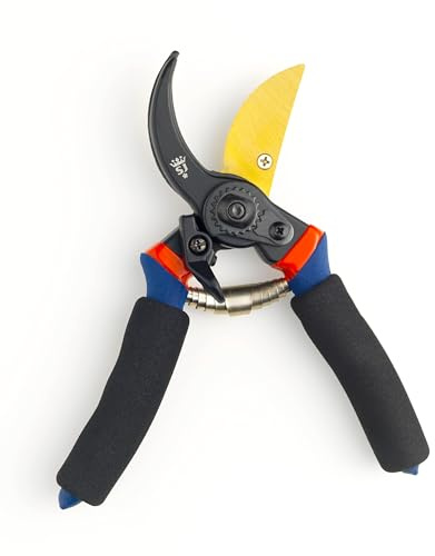 Spear & Jackson 6658TITAN Razorsharp Sécateur de Jardin en Titane – Sécateur Bypass Premium pour Plantes, Haies et Fleurs