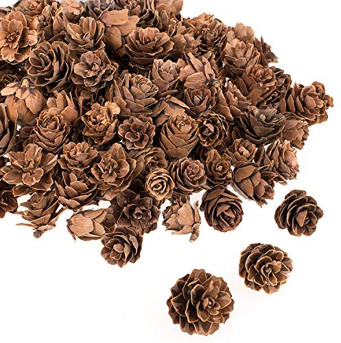 Whaline 150 Pieces Christmas Mini Natural Rustic Dried Pine Cones in Bulk, Brown Pinecones for Christmas Party Ornament DIY Crafts Home Decoration