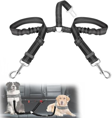 VBGURR Cinture di sicurezza per auto, doppia cintura di sicurezza per cani, cintura di sicurezza elastica regolabile per cani, per viaggi e uso quotidiano