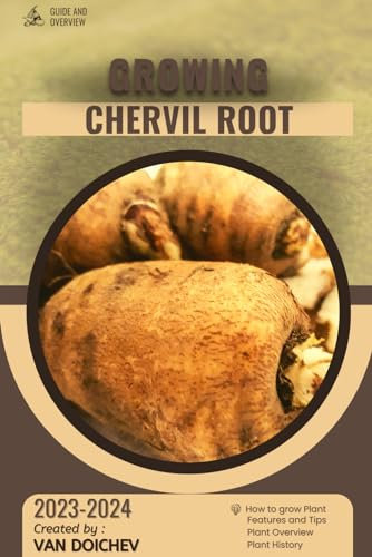 Chervil Root: Guide and overview