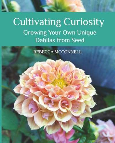 Cultivating Curiosity: Growing Your Own Unique Dahlias from Seed